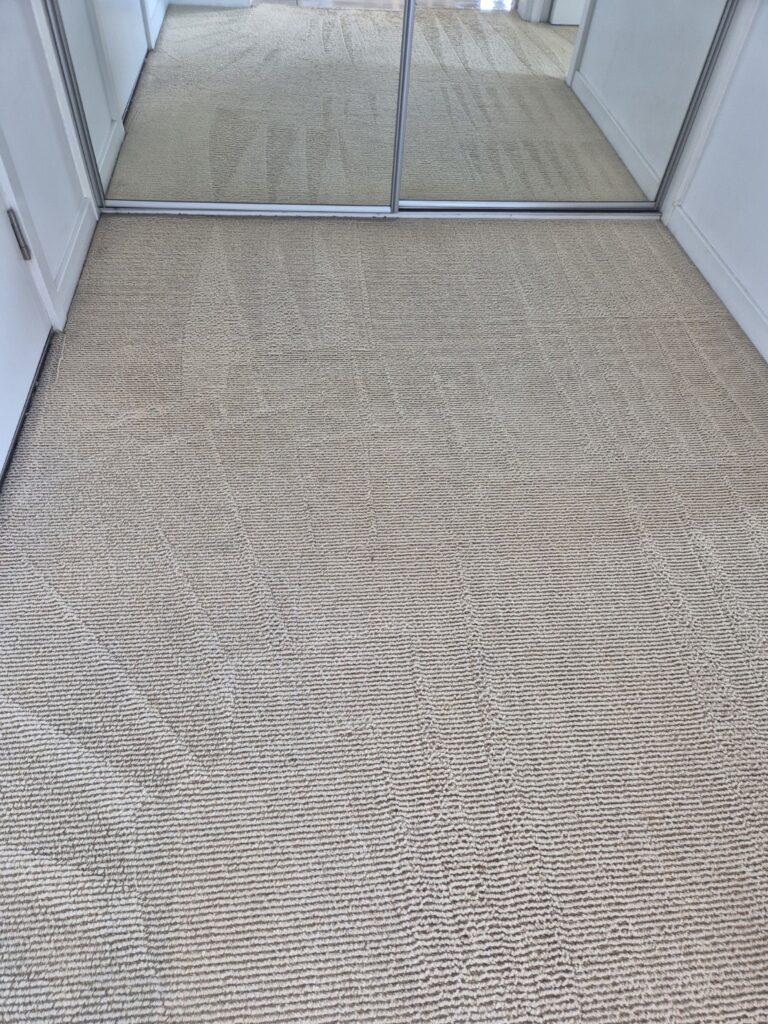 Carpet after professional hot-water extraction cleaning, showing refreshed pile and visible extraction lines