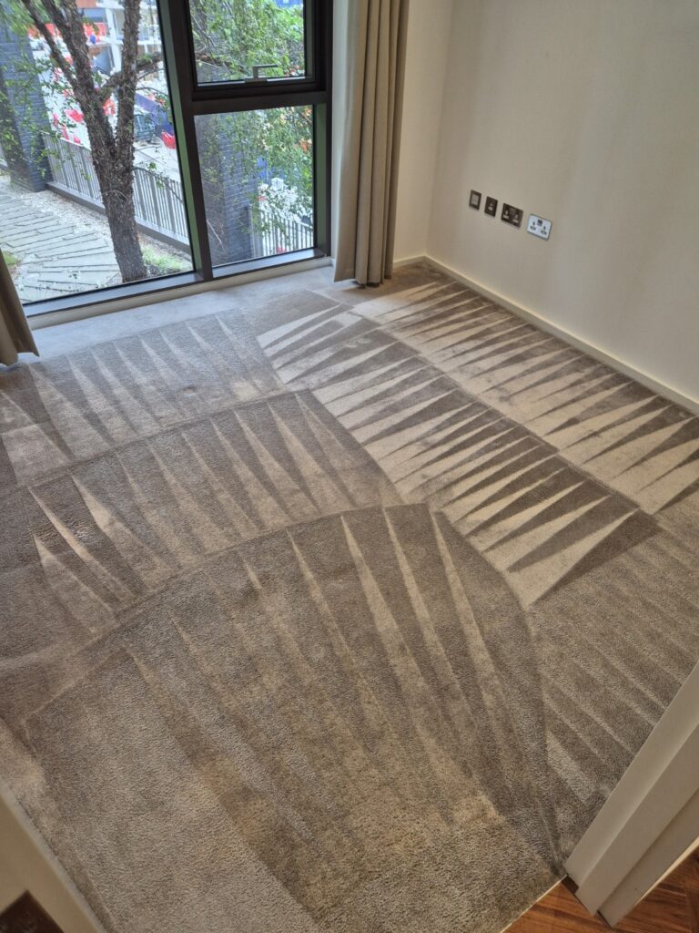 Carpet after professional hot-water extraction cleaning, showing refreshed pile and visible extraction lines