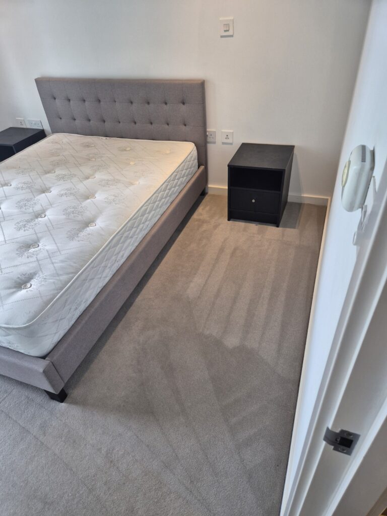 Carpet after professional hot-water extraction cleaning, showing refreshed pile and visible extraction lines