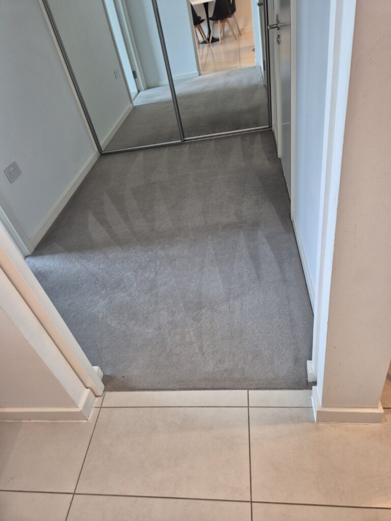 Carpet after professional hot-water extraction cleaning, showing refreshed pile and visible extraction lines
