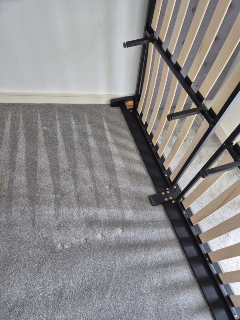 Carpet after professional hot-water extraction cleaning, showing refreshed pile and visible extraction lines