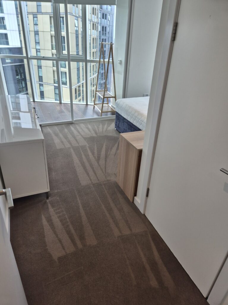 Carpet after professional hot-water extraction cleaning, showing refreshed pile and visible extraction lines
